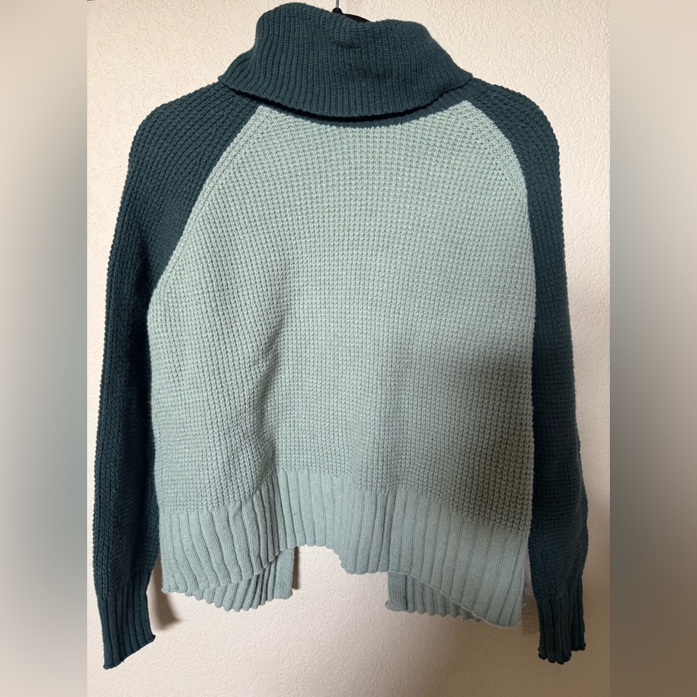 Madewell Teal and Mint Turtleneck Sweater